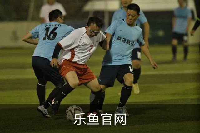 乐鱼官网公司介绍